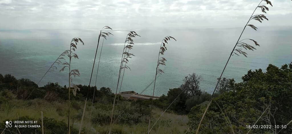 Panoramic City Views