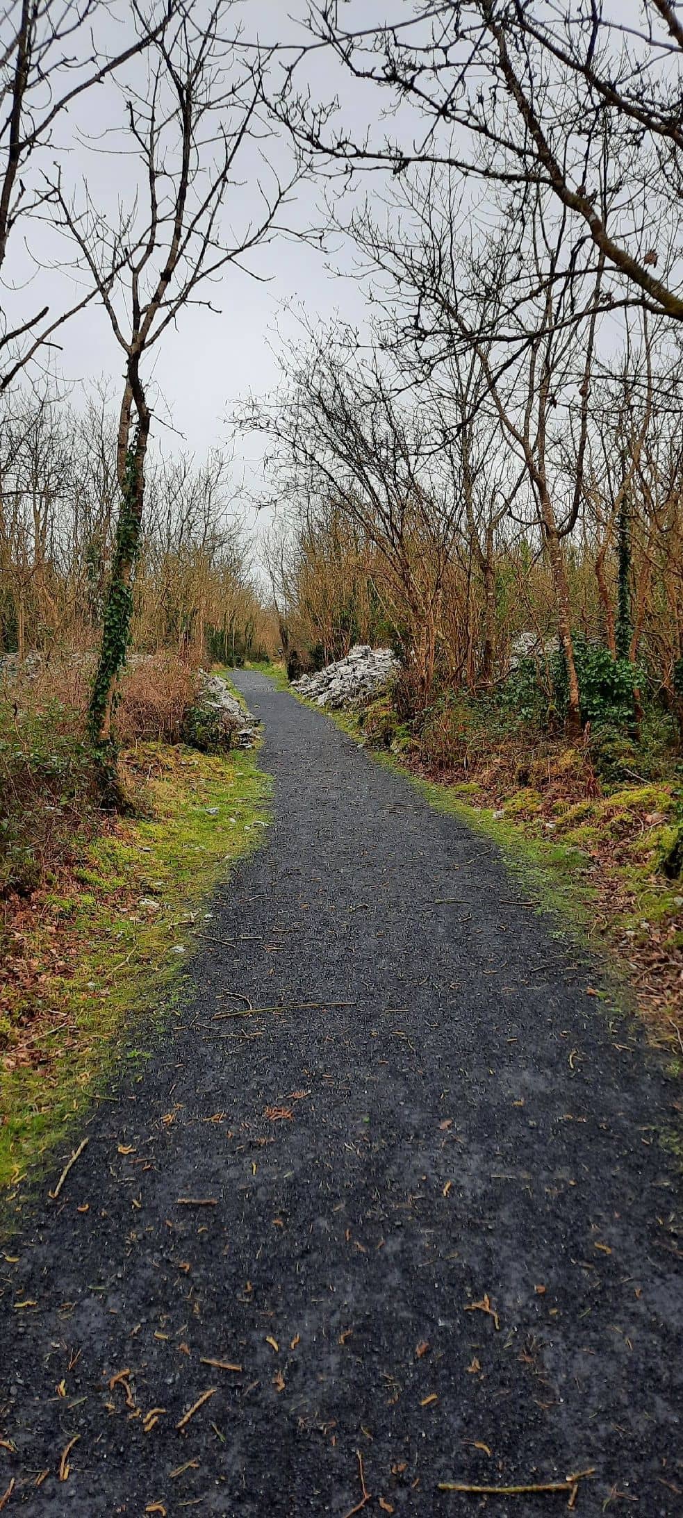 Interpretive Signage