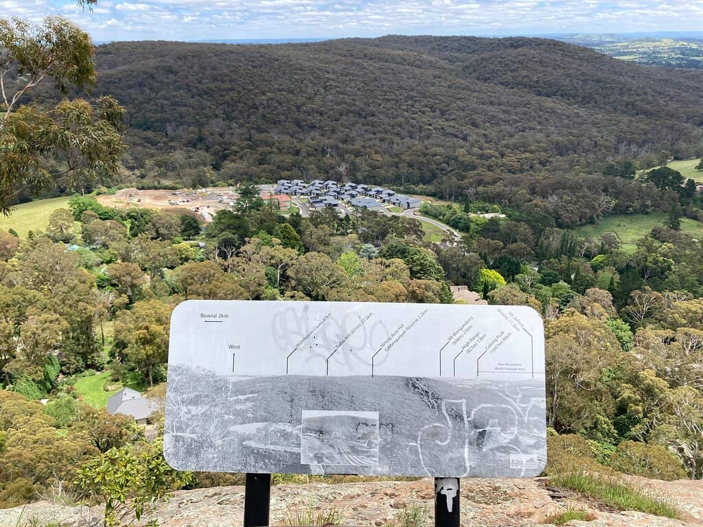 Eucalyptus Forest Trails