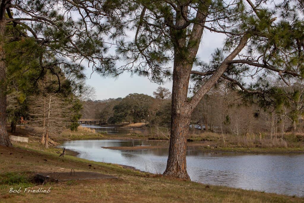 Disc Golf Courses