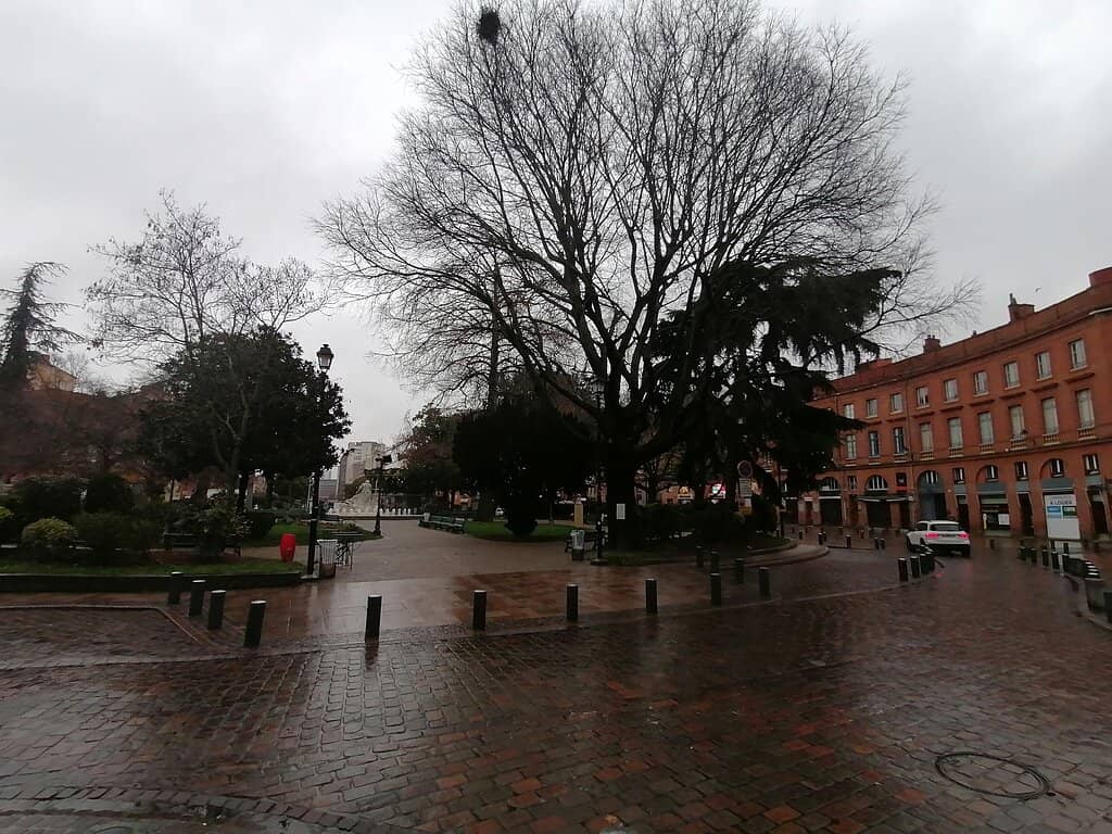 Local Culinary Scene