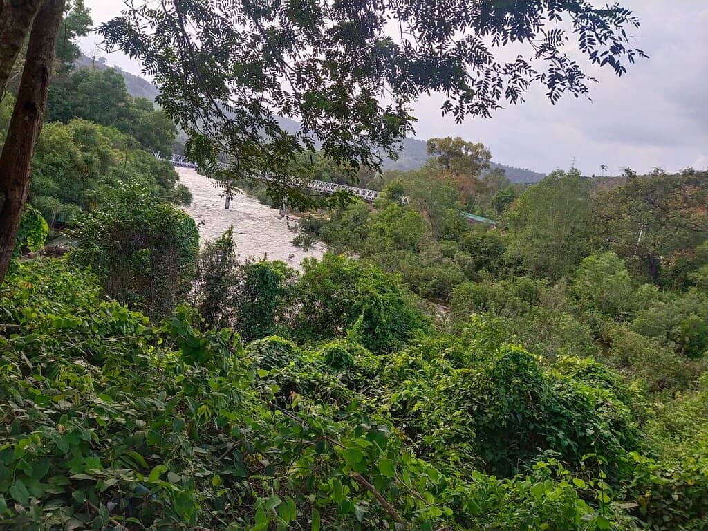 Riverside Relaxation