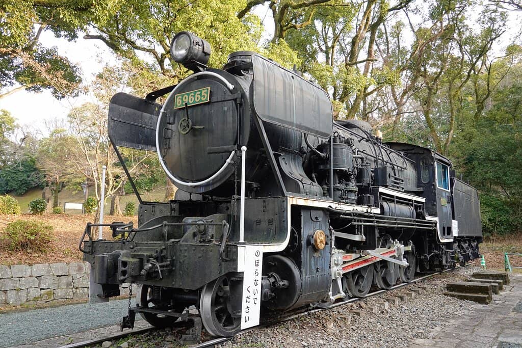 Kumamoto's Natural History