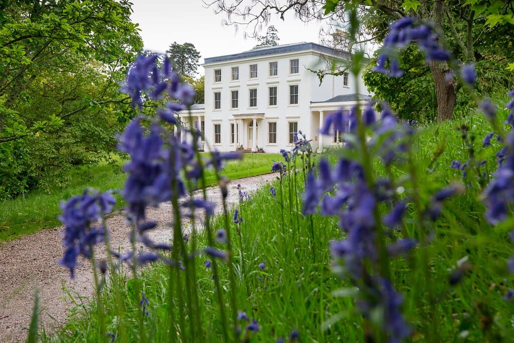 Greenway garden blooms in spring, with daffodils, snowdrops, magnolias and bluebells.