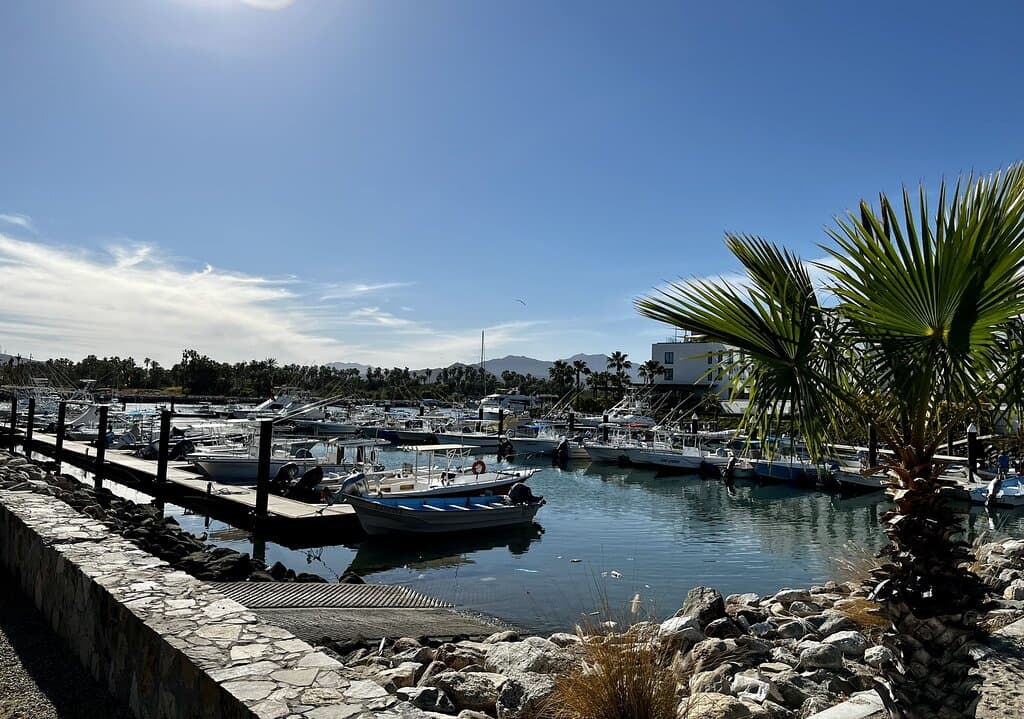Puerto Los Cabos Marina