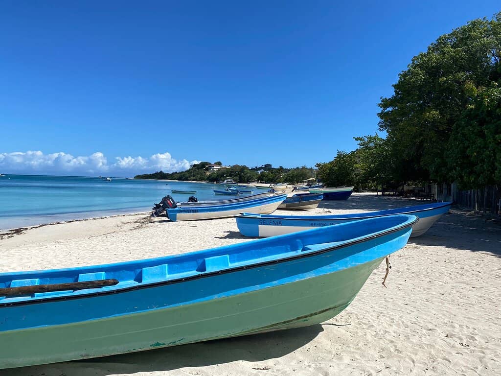 Cayo Arena Excursion
