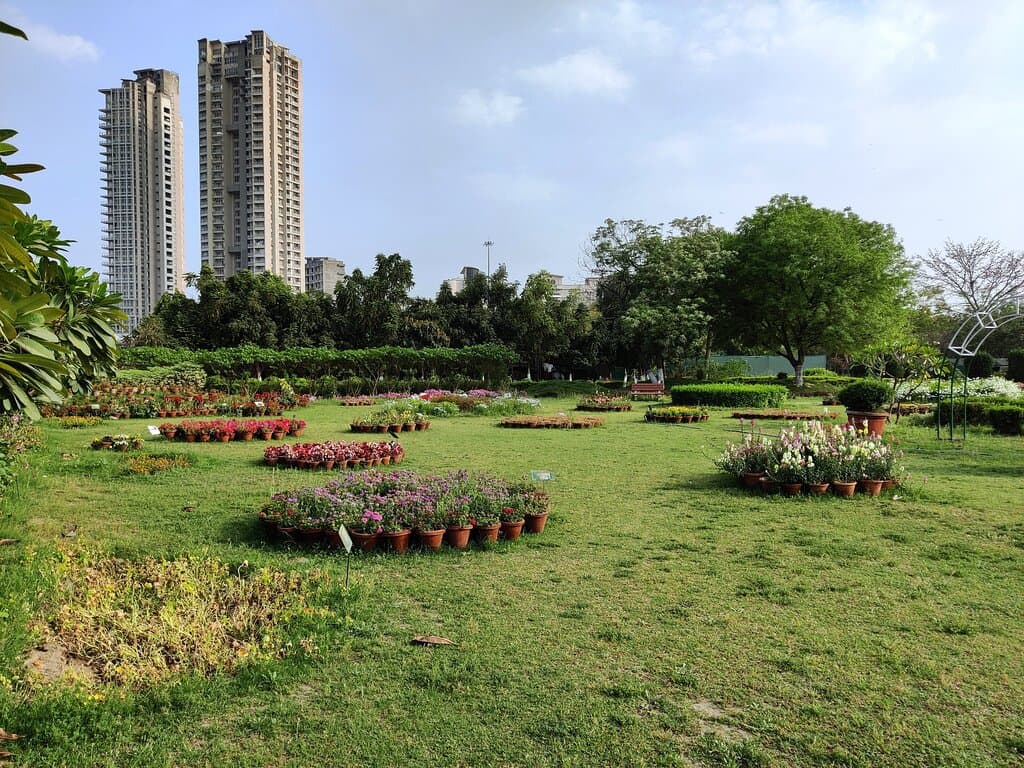 View of the flowers and beyond
