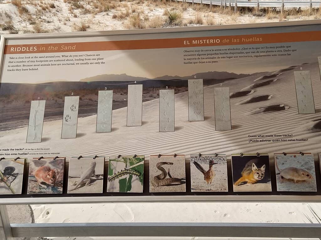 Wildlife and Flora Info