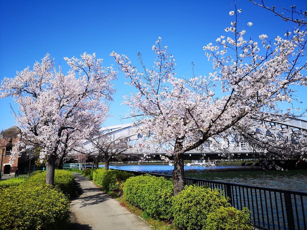 Kema Sakuranomiya Park Osaka