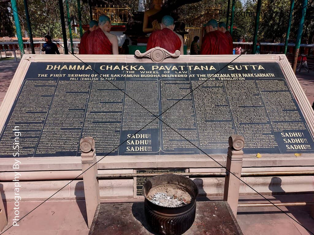 Bodhi Tree Descendant