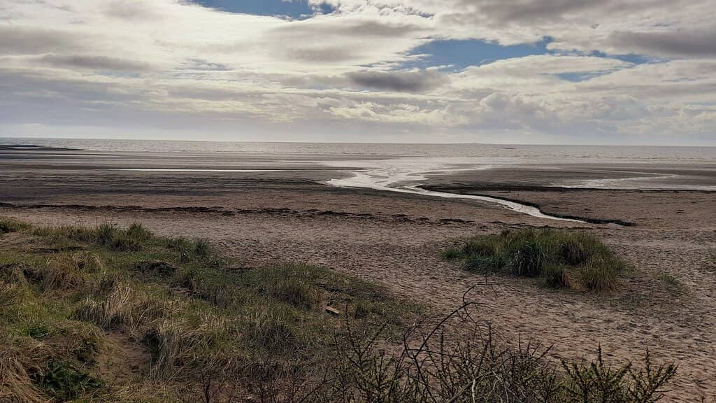 Dementia-Friendly Sunken Garden