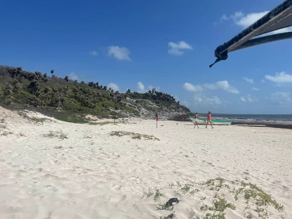 Crystal-Clear Waters