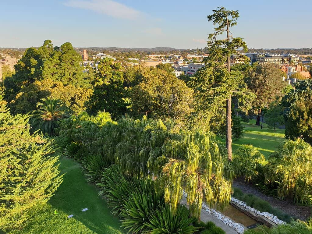 Sacred Heart Cathedral Vista