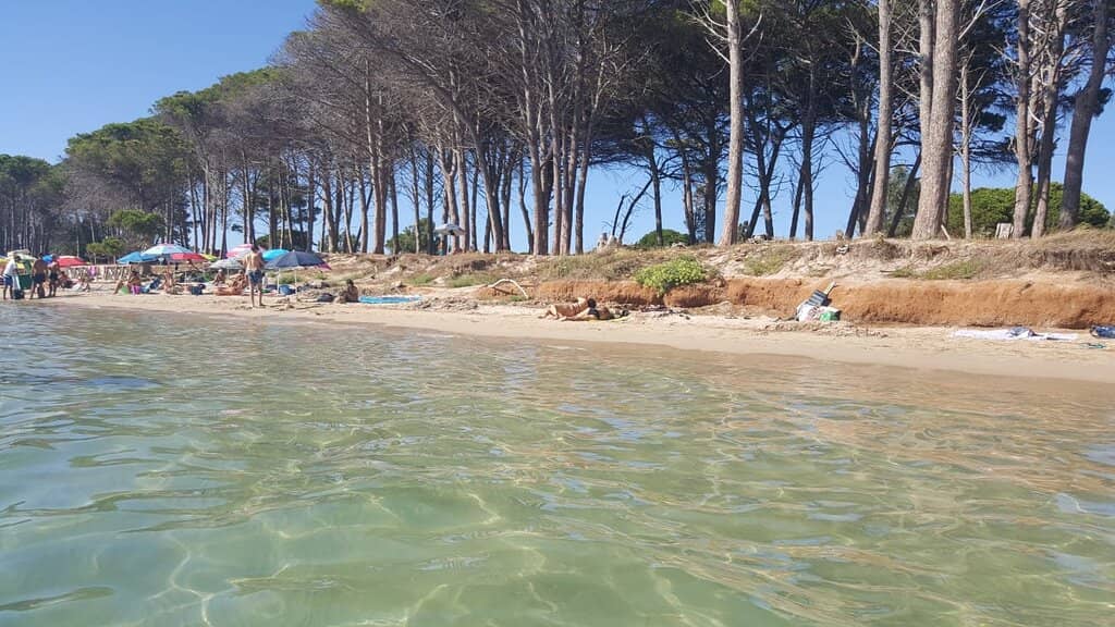 Crystal Clear Shallow Waters