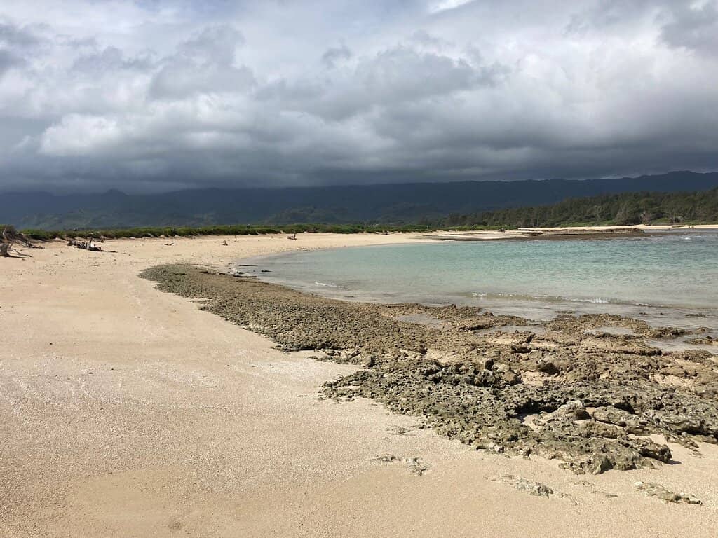 The Low Tide Causeway