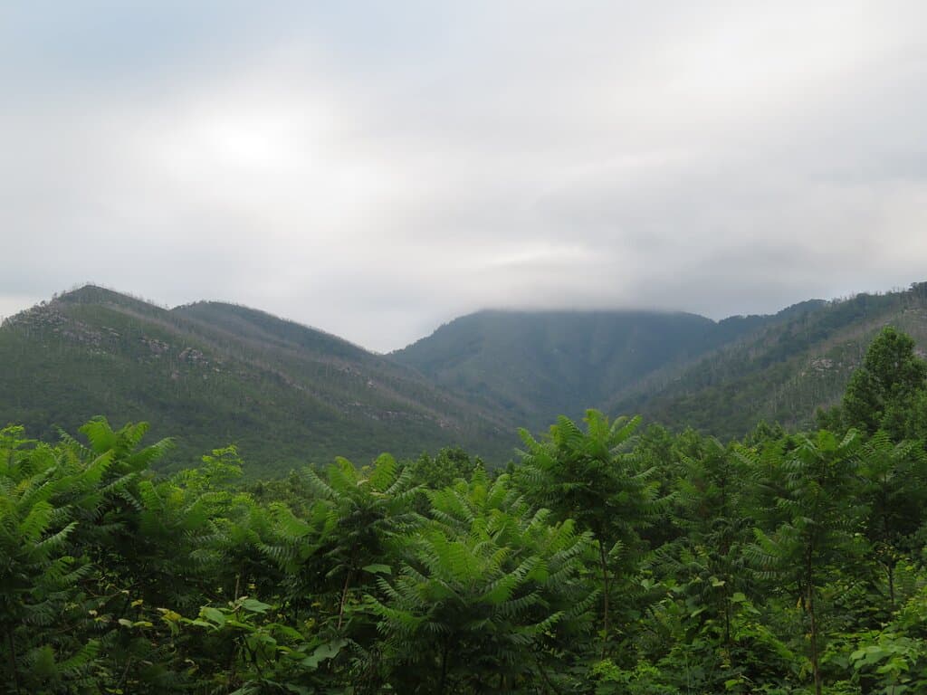 overlook