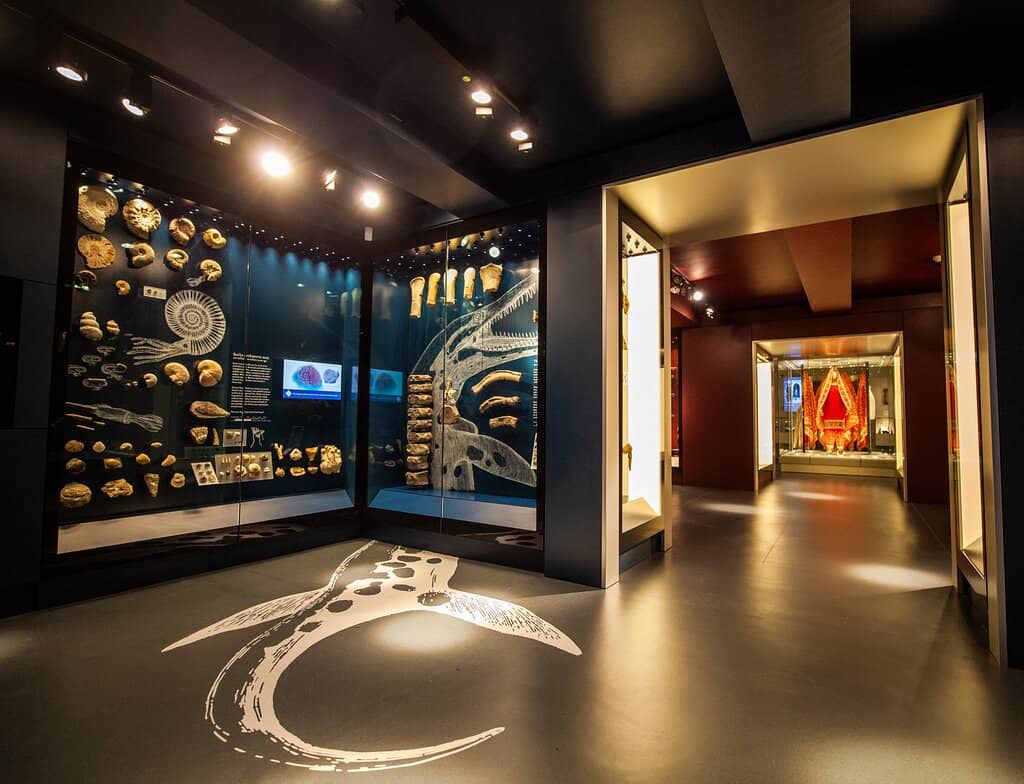 The Hoard Collection