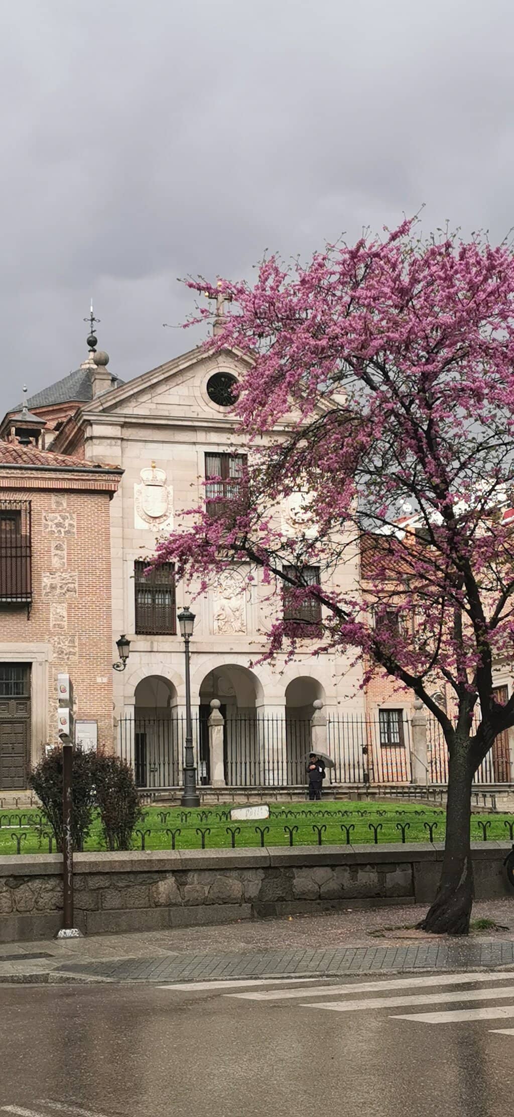 Saint Teresa's Footsteps