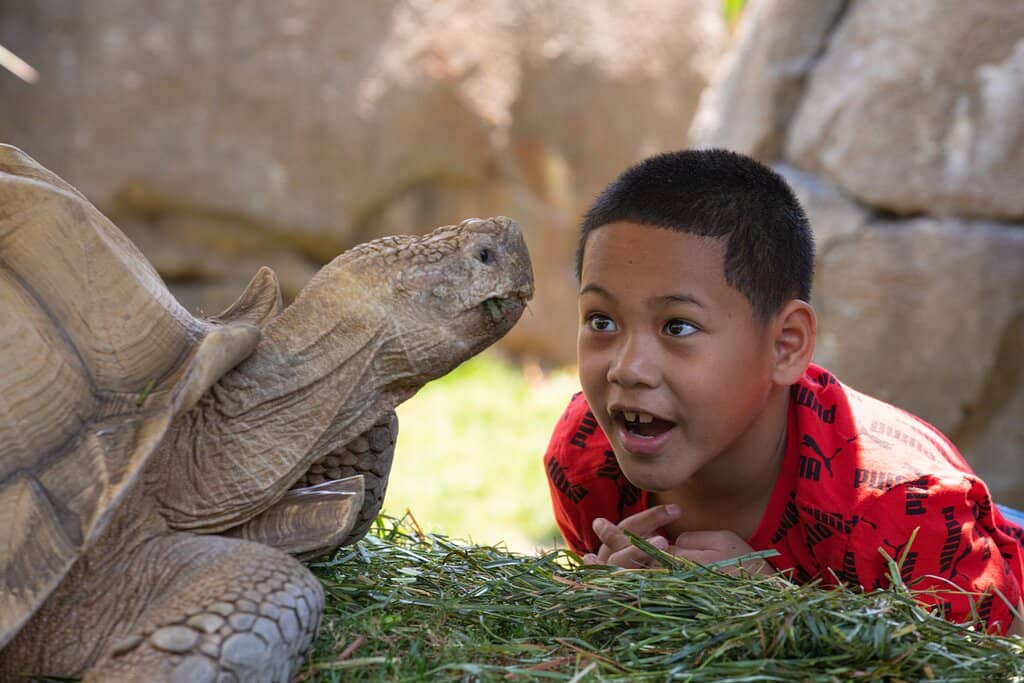 Interactive Science Exhibits