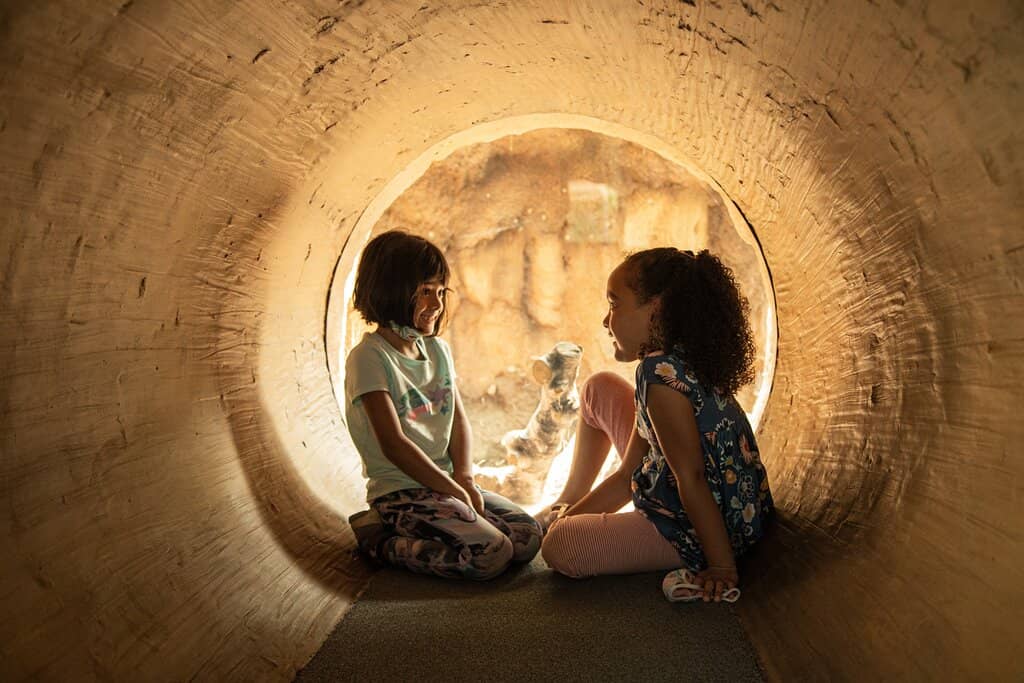 California Dinosaur Garden