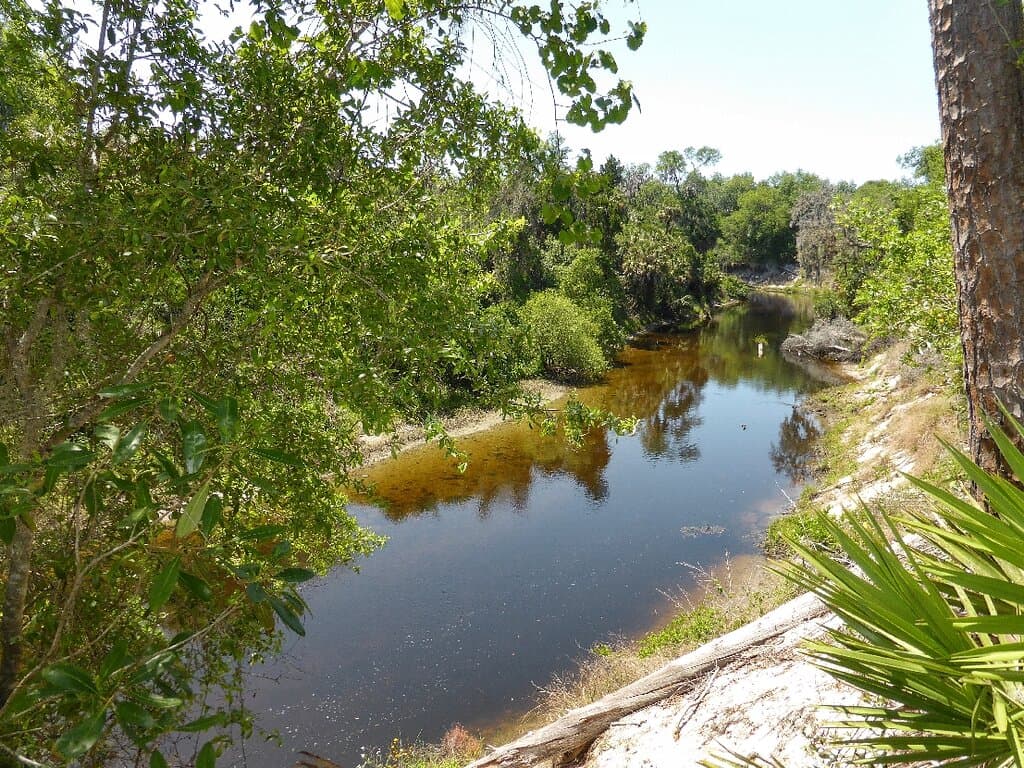 Rye Preserve