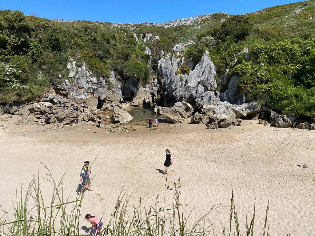 Scenic Coastal Walk