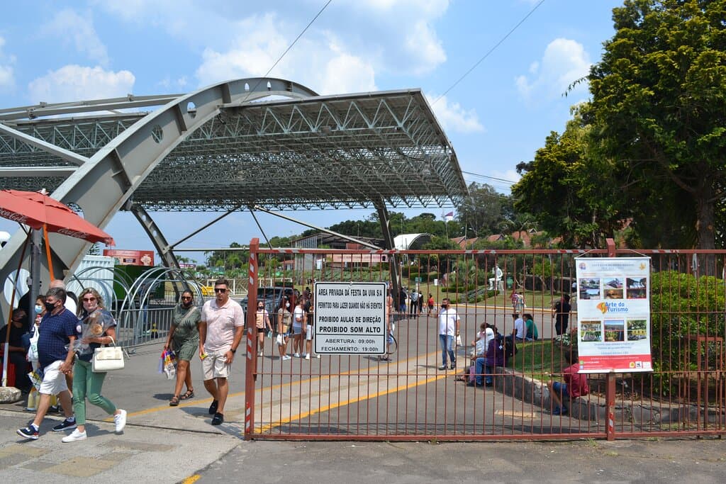 Festa da Uva