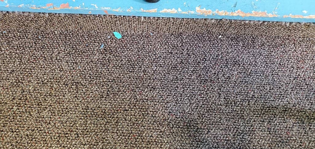 Interactive Exhibits