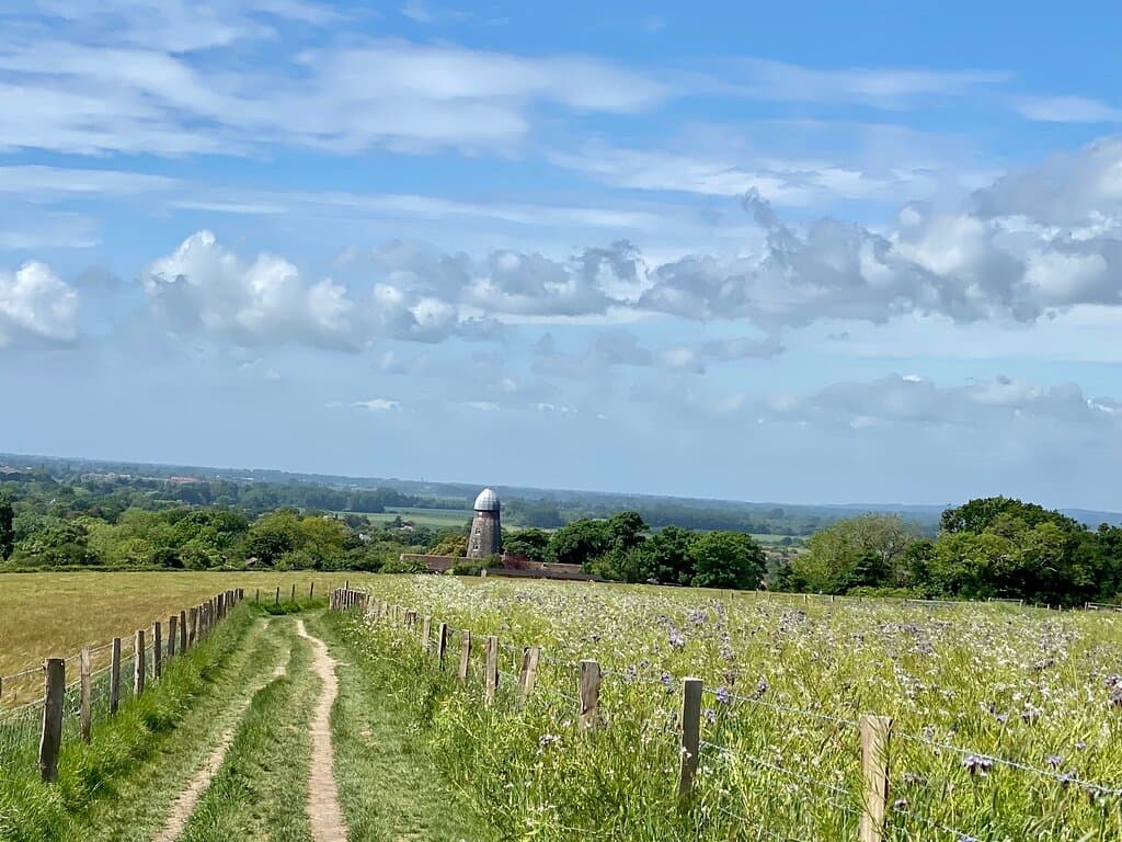 Highdown Hill