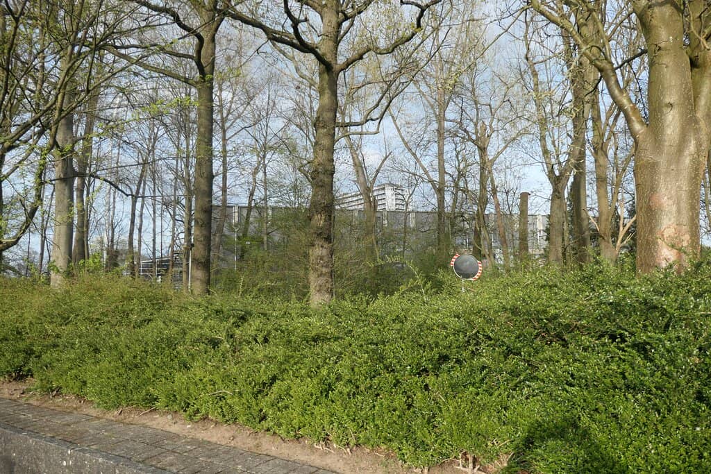 King Power at Den Dreef Stadium