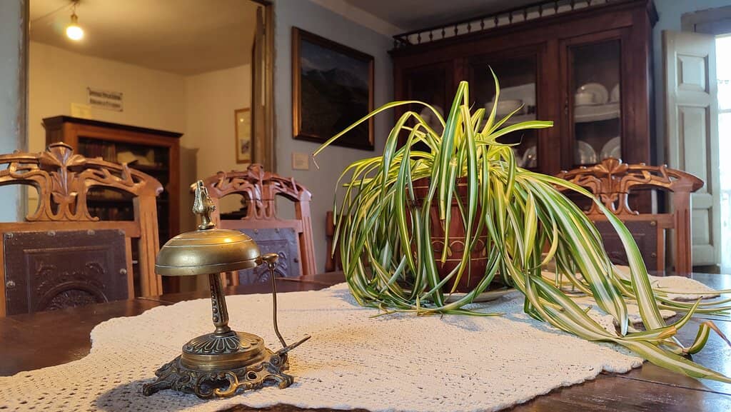 The Audioguide Experience