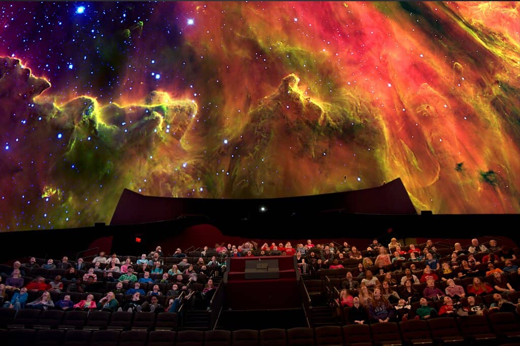 Puelicher Butterfly Wing