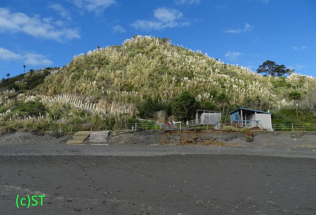 Stunning Black Sand Coastline