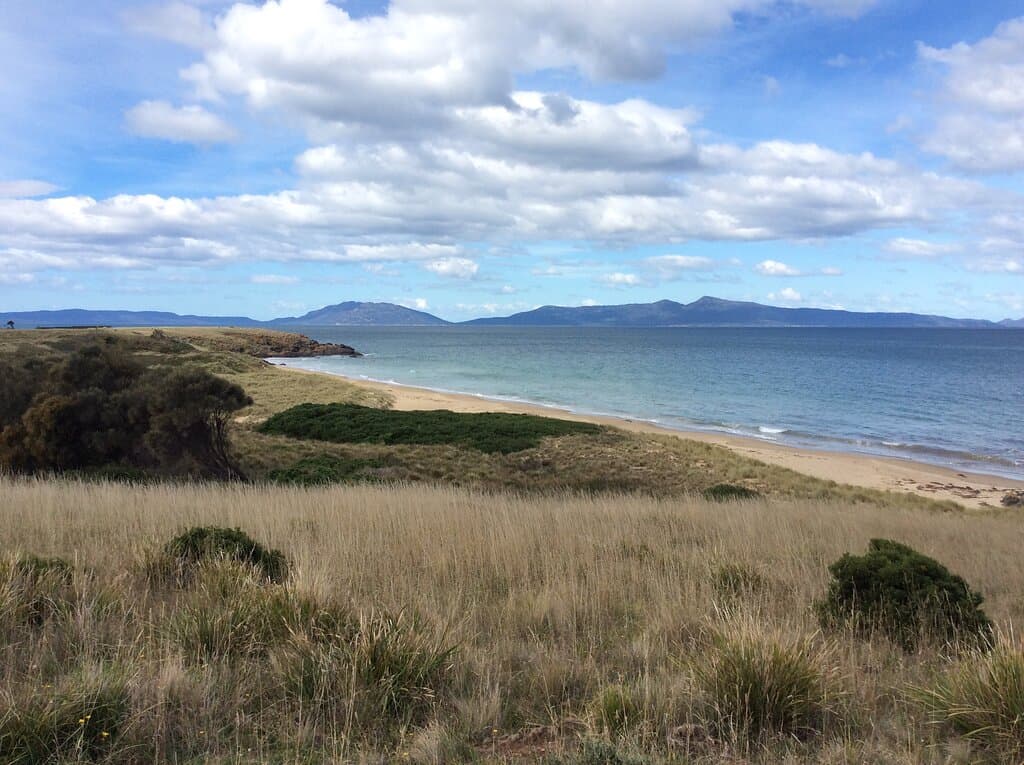 View of beach
