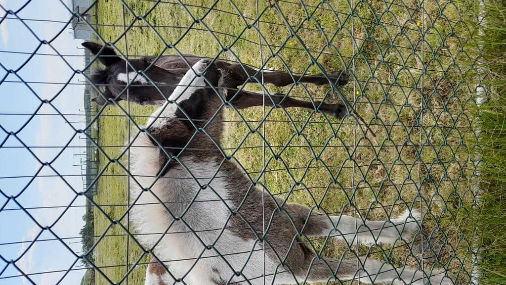 Scenic Walking Trails