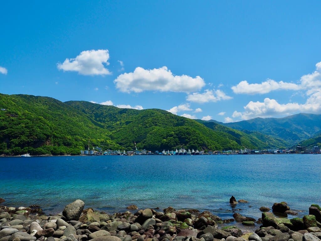 Heda Port Izu