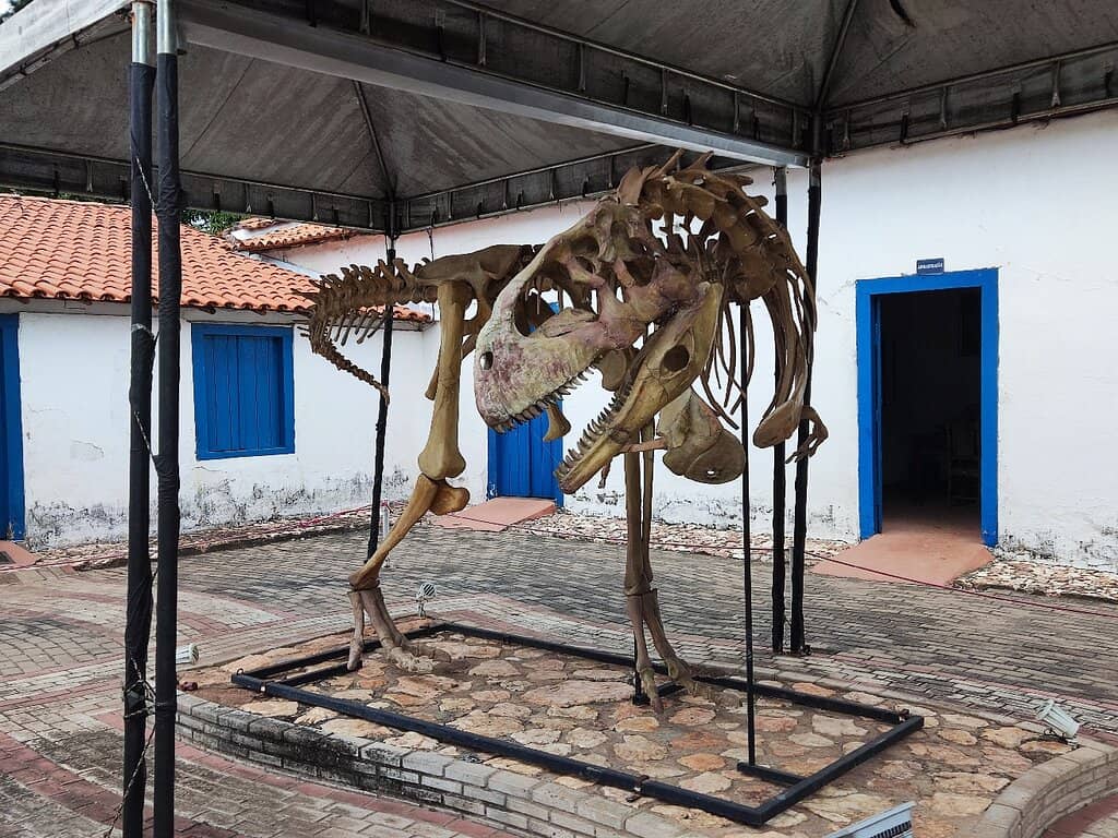 Mato Grosso's Biodiversity