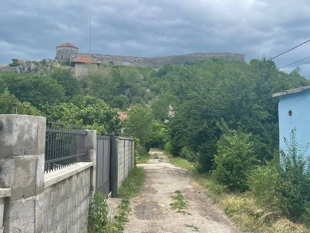 Vertical photo