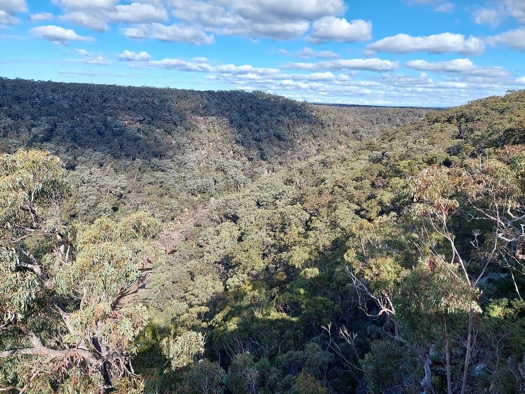 Dharawal National Park