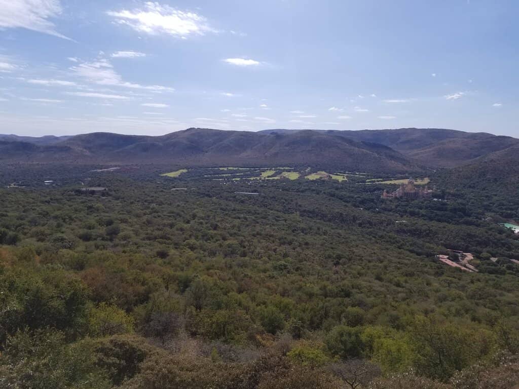 The Freefall Sensation