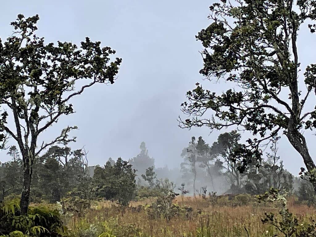Crater Rim Trail Views