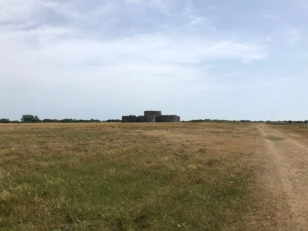 Rye Harbour Nature Reserve