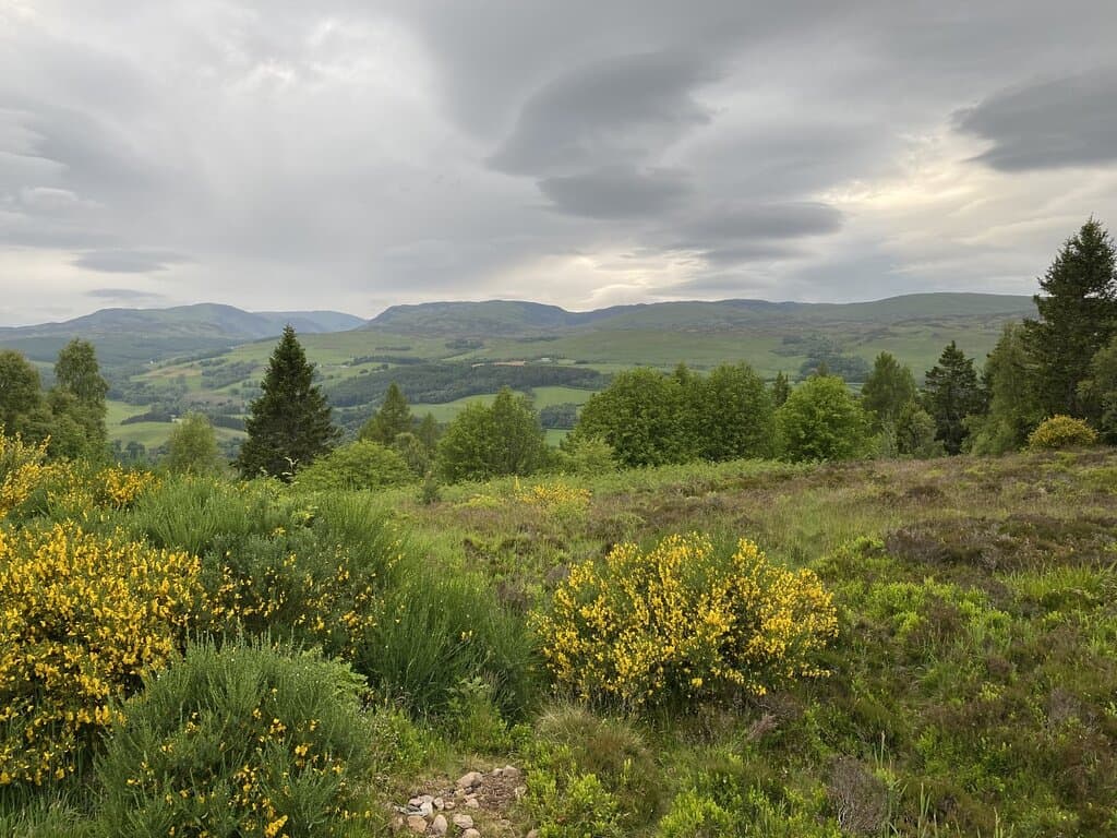 View to the north, nice