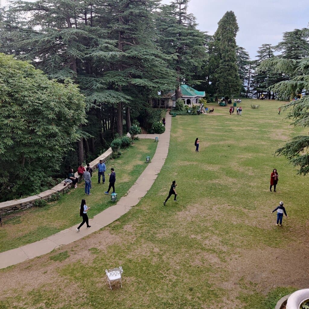 Chail Palace