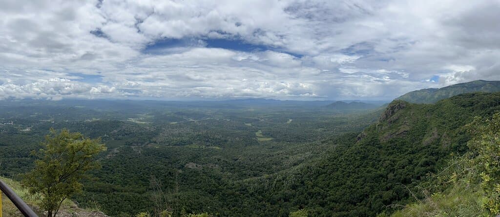 Needle Rock Viewpoint