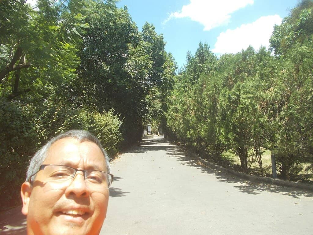 Concrete-Screened Stained Glass