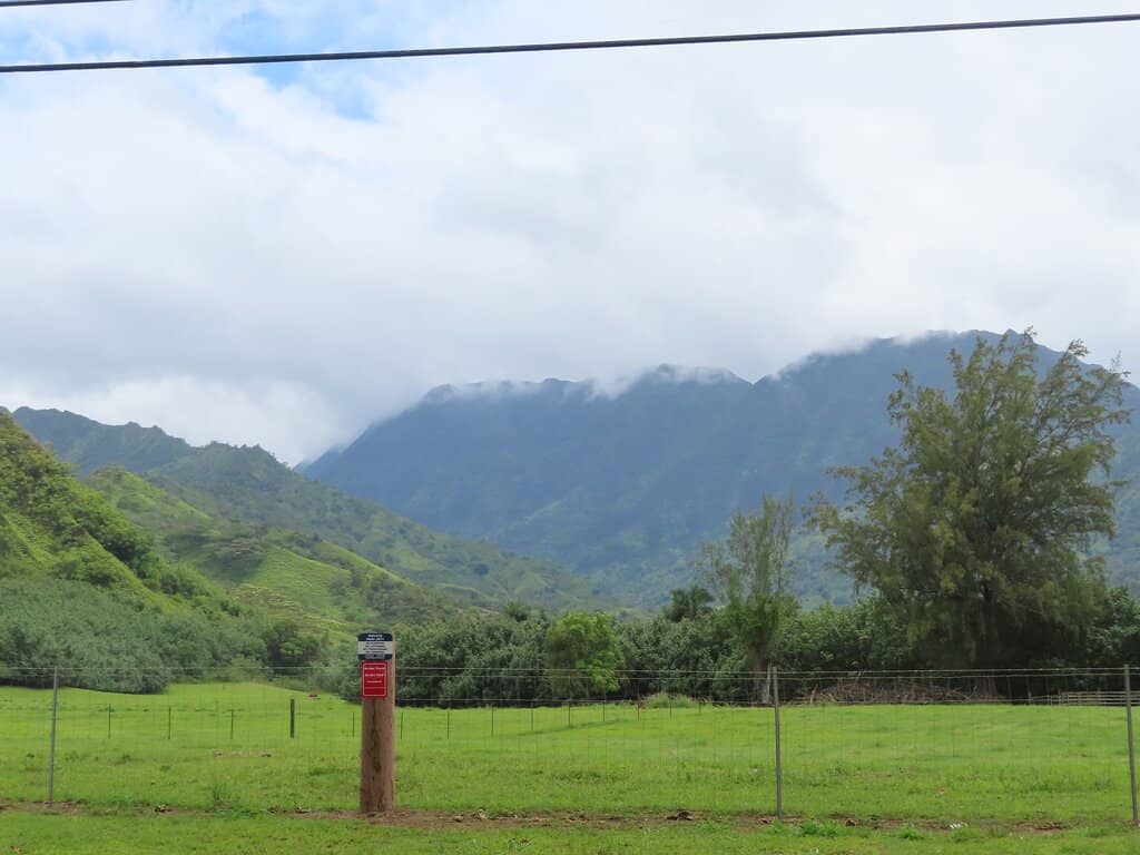 Kalihiwai River Paddle