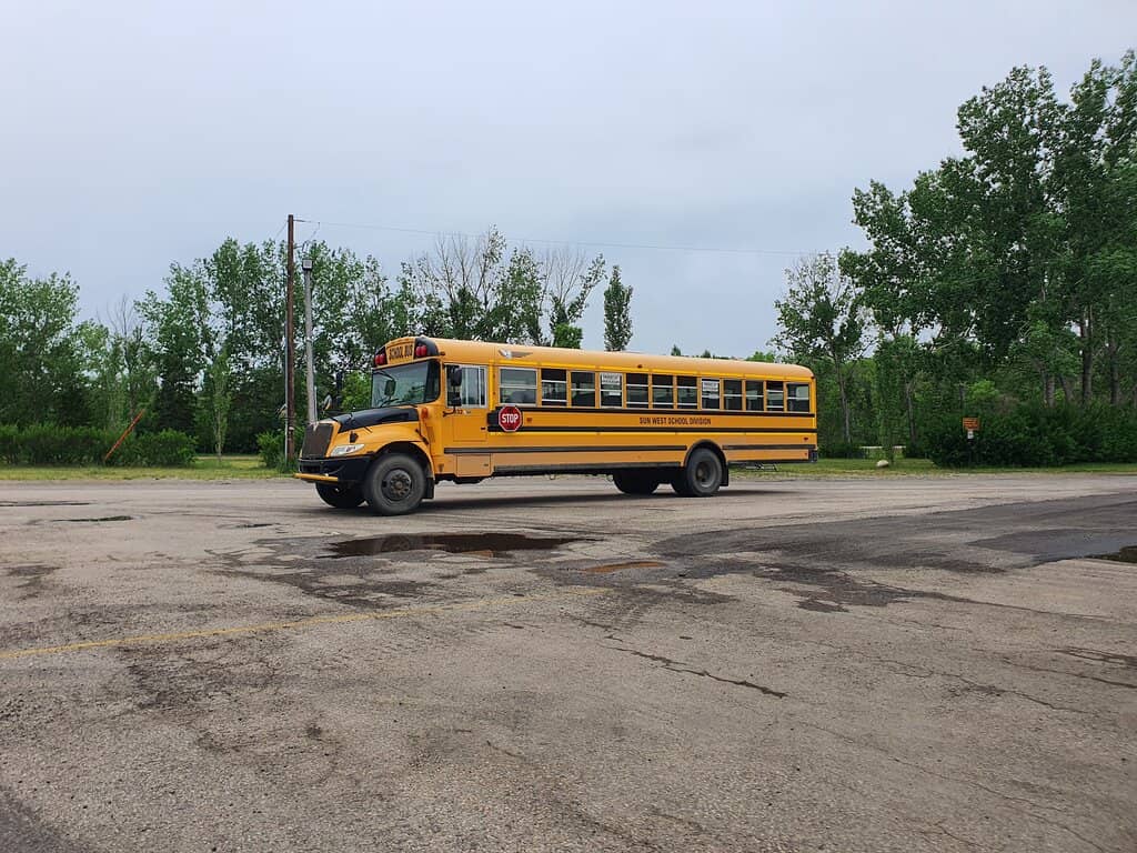 Marsh & Wildlife Viewing