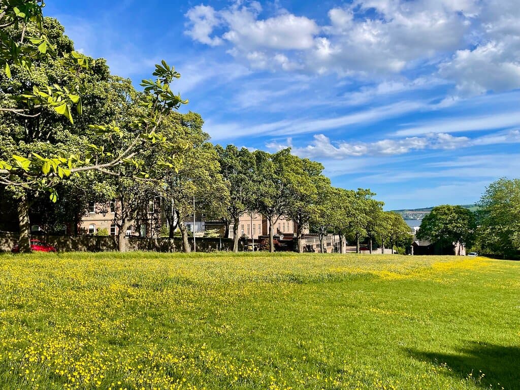 Dudhope Park Dundee