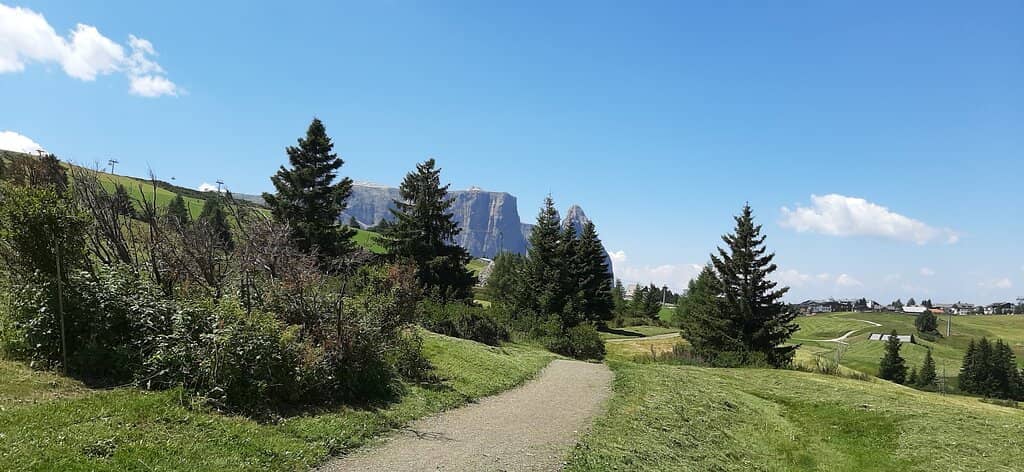 Sciliar Summit Trails